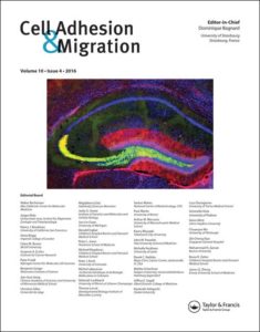 Cell Adhesion and Migration