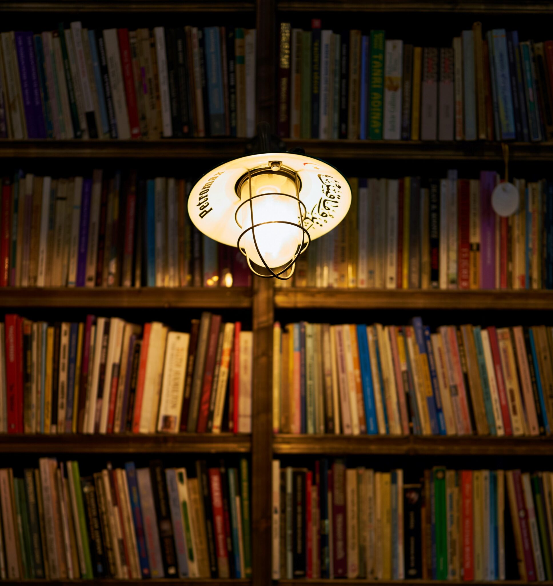 Hanging ceiling lamp overlooking a bookcase full of books.