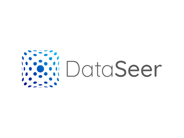 DataSeer logo