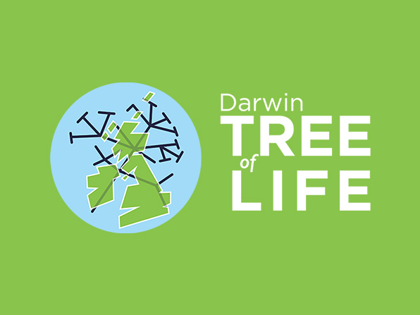 Darwin Tree of Life logo on green background